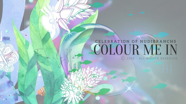 nudibranch-Celebration-banner-2.jpg
