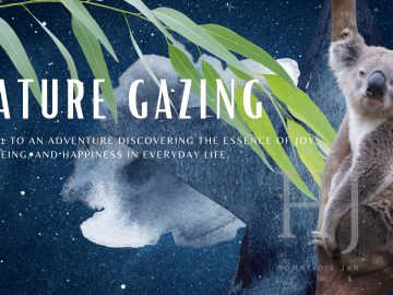2022-Nature-Gazing-Banner-1.jpg
